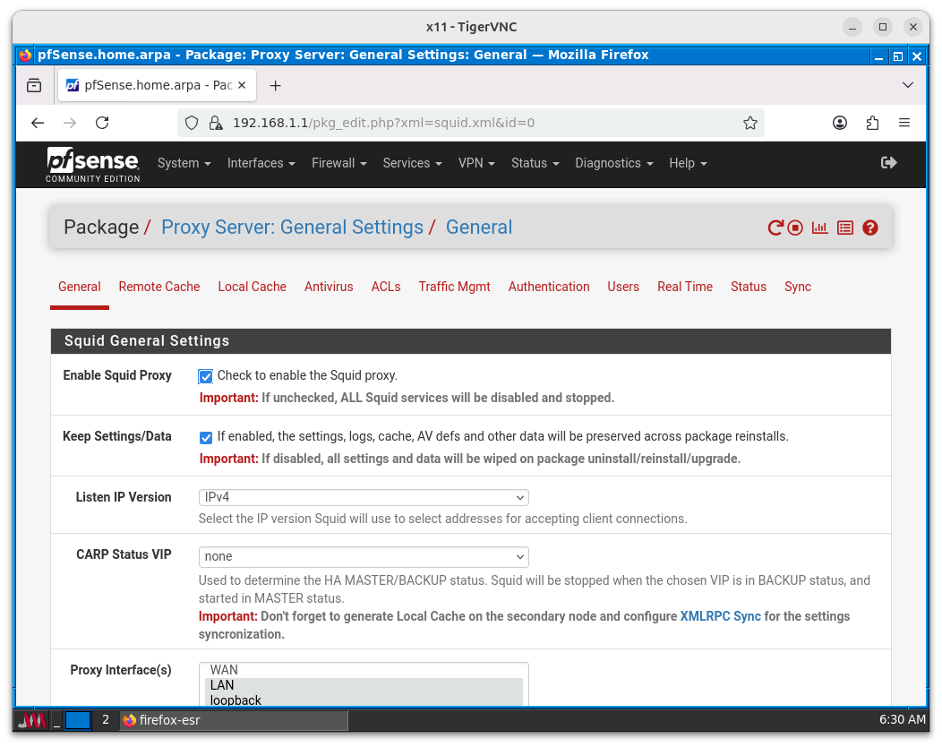 Activación de la opción *Enable Squid Proxy*