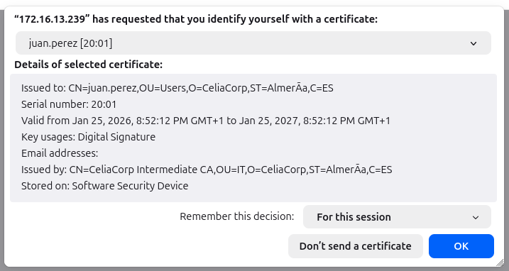 Acceso al servicio con mTLS en Firefox