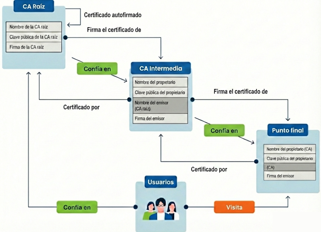 Cadena de confianza en una PKI de dos niveles. Imagen basada en las imágenes de https://www.globalsign.com/es/blog/que-es-cadena-de-confianza[GlobalSign] y https://es.wikipedia.org/wiki/Certificado_ra%C3%ADz[Wikipedia.]